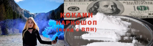 винт Рославль