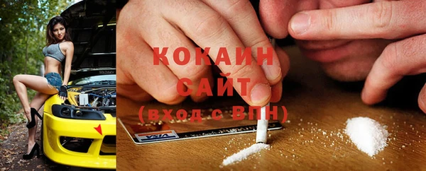 прущие грибы Абинск