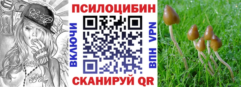 Псилоцибиновые грибы Magic Shrooms  Болхов 